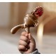 پستانک میوه خوری با درپوش هی اور شی he or she