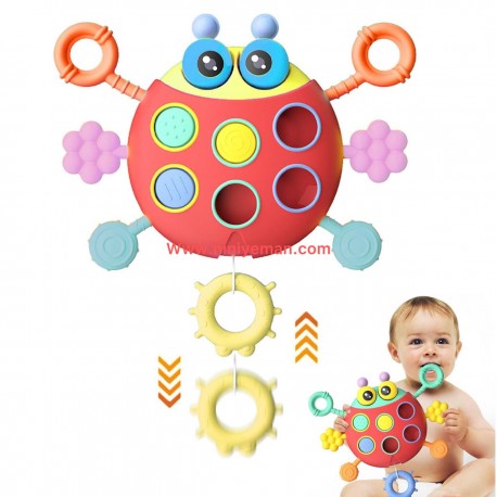 کفشدوزک کششی سوببر SOBEBEAR کدYL368