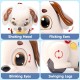 سگ موزیکال هولی تویز Huile Toys He9977