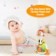 اسباب بازی غاز موزیکال هولی تویز holi toys